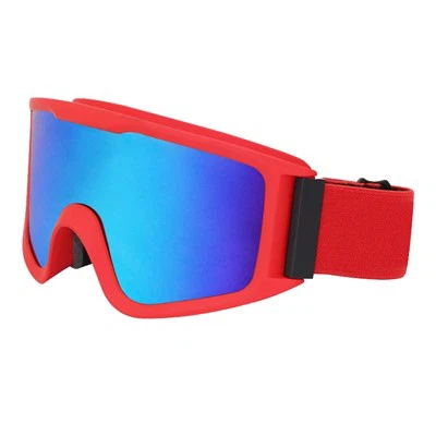 Snow Sport Goggles